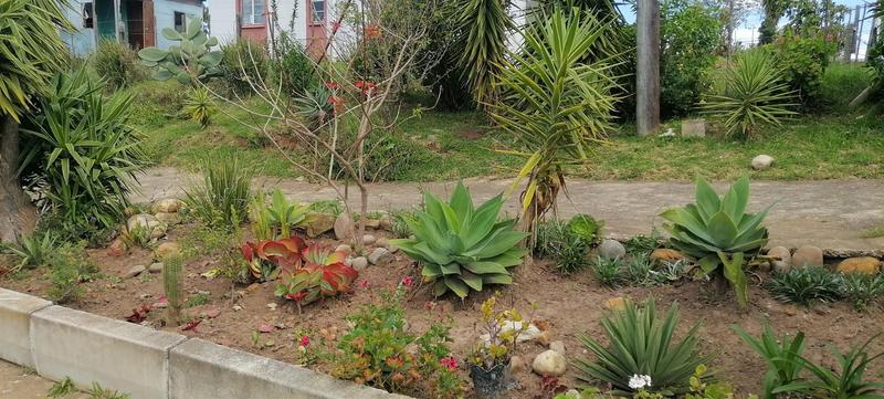2 Bedroom Property for Sale in Friemersheim Western Cape